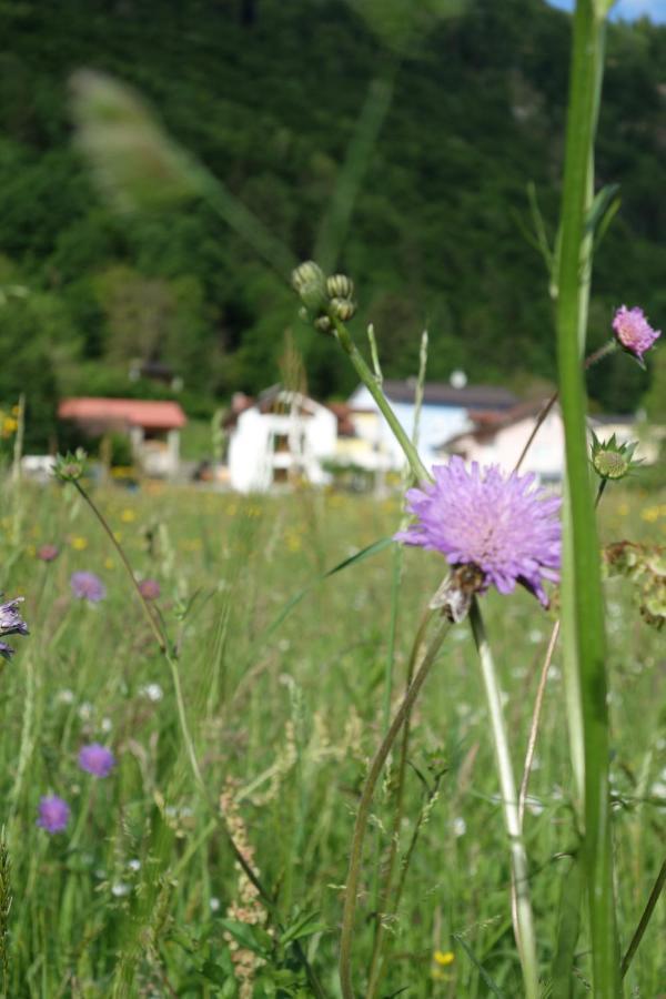 Hisa Lenart Apartment Tolmin Luaran gambar