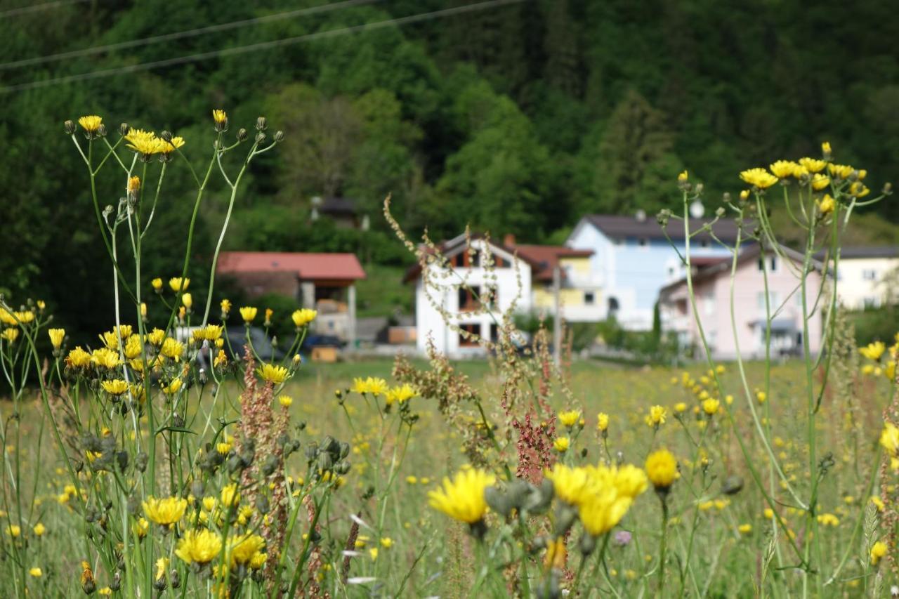 Hisa Lenart Apartment Tolmin Luaran gambar