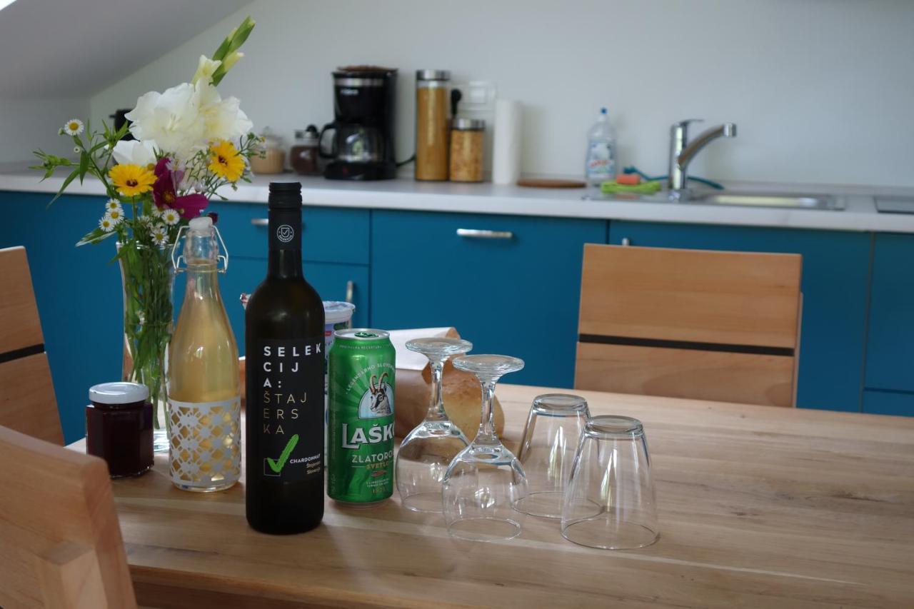 Hisa Lenart Apartment Tolmin Luaran gambar